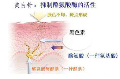 美白